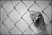 trapped 5