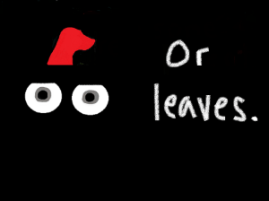Dog 11