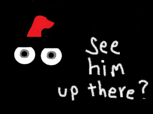 Dog 12