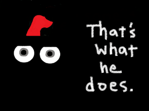 Dog 13