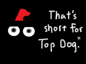 Dog 5b