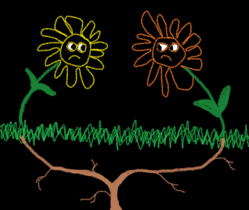 ONE ROOT 2
