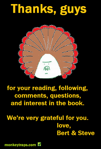 turkey bert