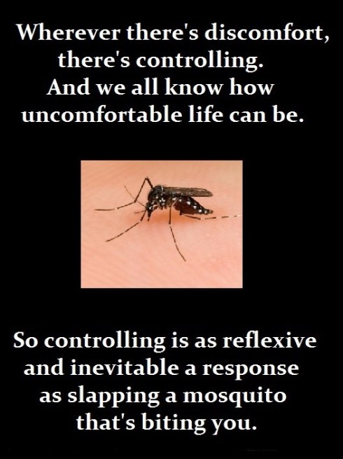 1-8-16 Mosquito2