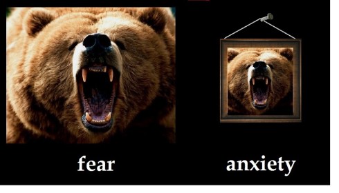 ~~~fear vs anxiety
