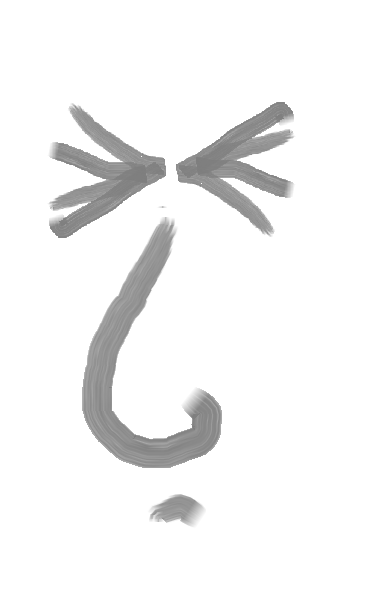 2-6-17-wince